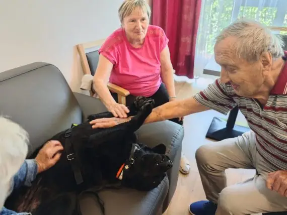 original-E08F2426-05D9-4E90-8C36-65DB89E9252E