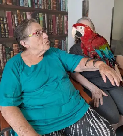 0db475e7-30d8-4b8c-92af-db3d144d2a02