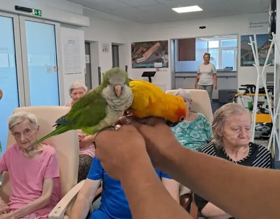 2d2f0270-0a31-449e-8f9e-92a0f943907b