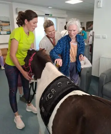 32db1030-0752-43b2-9c2d-ad9f4eefba36