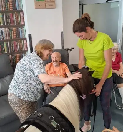 3dc7ebd0-8603-4a0b-9406-3ee68add4468