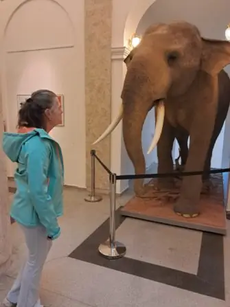 64b63c66-a224-4fbd-8415-2b58346a1c1e