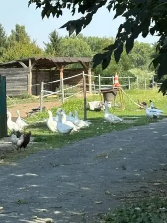 80f842e4-9bbb-47dd-b687-5c46edc6fdd9