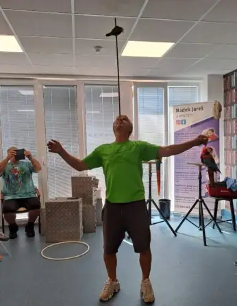 887430a8-3acc-4eac-b72d-f425a312d3fb