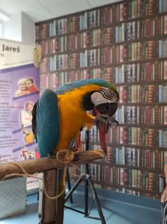 9f62fd08-00d1-433d-aac0-92d9adfbc045