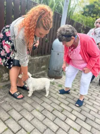 Obrázek WhatsApp, 2025-07-09 v 11.21.45_224606a8