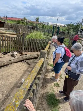 PXL_20250729_084632382