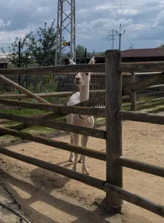 PXL_20250729_084640510