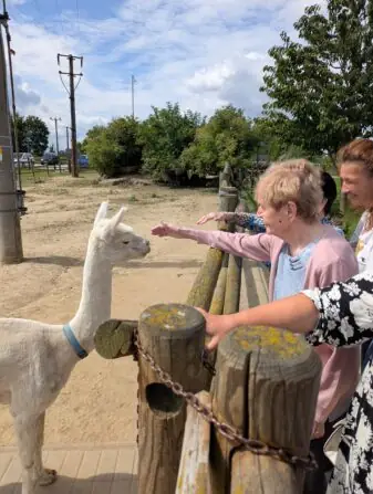 PXL_20250729_084758792