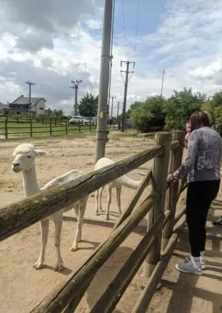 PXL_20250729_084833224