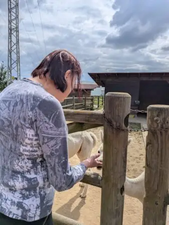 PXL_20250729_084848702