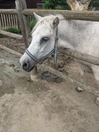 PXL_20250729_085116867