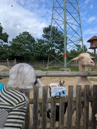 PXL_20250729_085134989