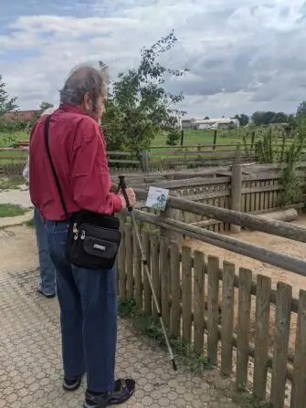 PXL_20250729_085234477