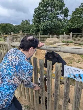 PXL_20250729_085247468