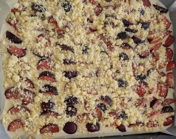 PXL_20250807_085914289