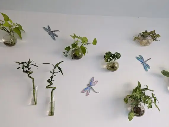 PXL_20250807_095144730