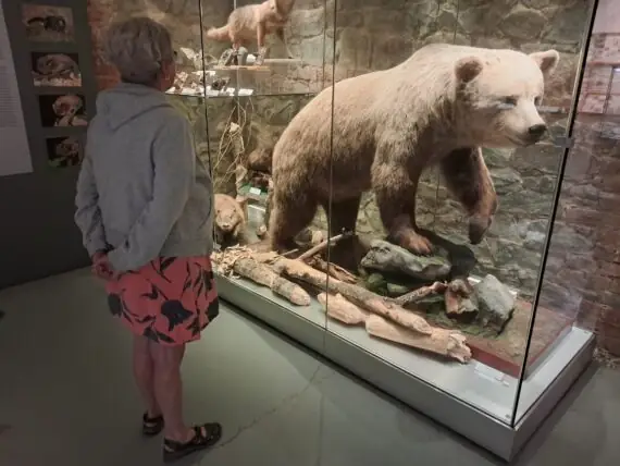 a1500079-97ad-46d2-8b47-3e6d2a7d581e