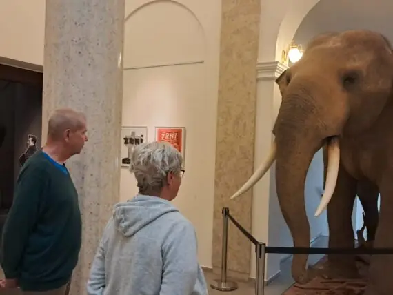 a7f1ab67-c21f-48aa-ae4a-4b4d6849cd58