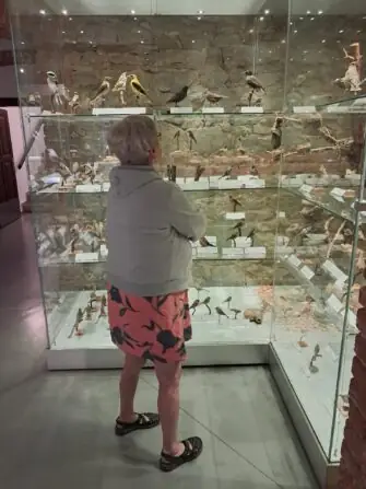 b9fb38b9-9cba-4d0f-9ae1-b1839614c9b8