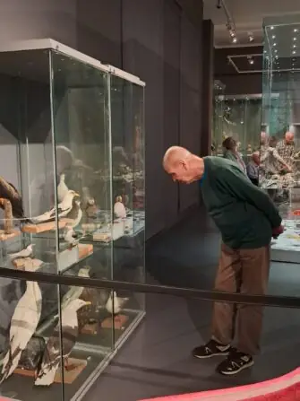 ba80ef71-52d8-4bdd-a342-2f6f80c6abff