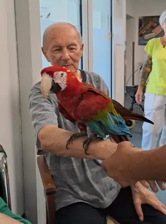 be0b6b6d-8baf-453e-8ac3-300b435b846c