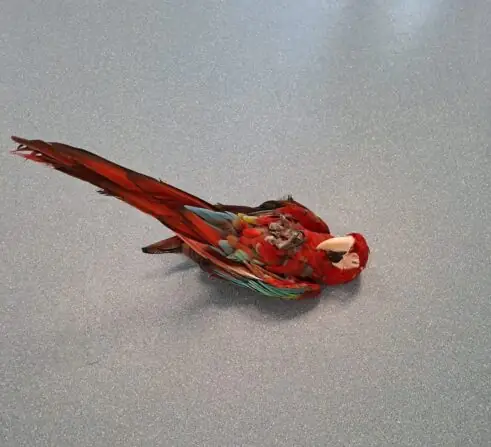 c8522f53-3ace-4a1a-bd8e-f3667bf49264