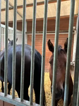 cefdfc31-d423-4303-9c88-f125f08fd087