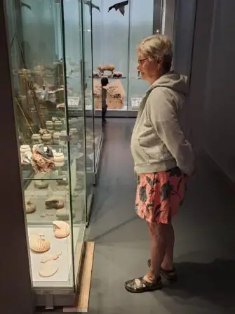 e20069a4-4fa4-47b7-9a3f-dd80434b9b45