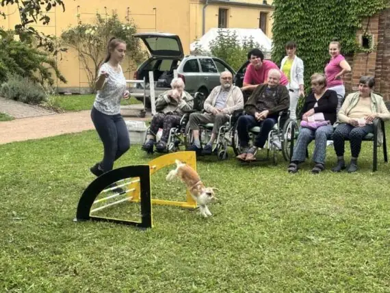 králičí hoppp (1)