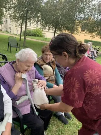 králičí hoppp (2)