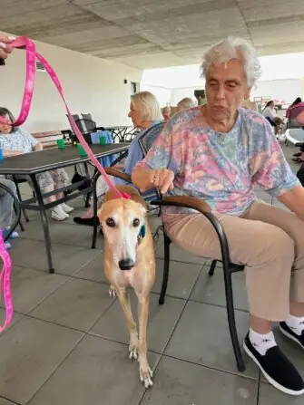 thumbnail_image1 (1)