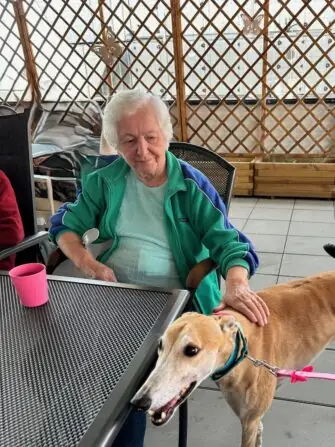 thumbnail_image3 (1)