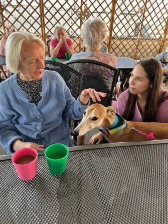 thumbnail_image3 (2)