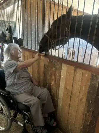 výlet ke koním (10)