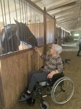 výlet ke koním (12)