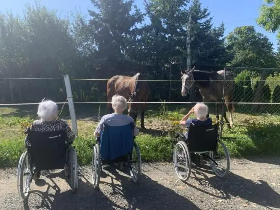 výlet ke koním (15)