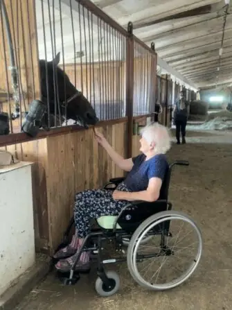 výlet ke koním (17)