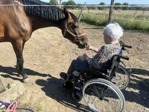 výlet ke koním (6)