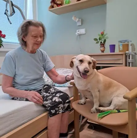 09f3f34d-59f1-43e5-9735-d7c04c456b94