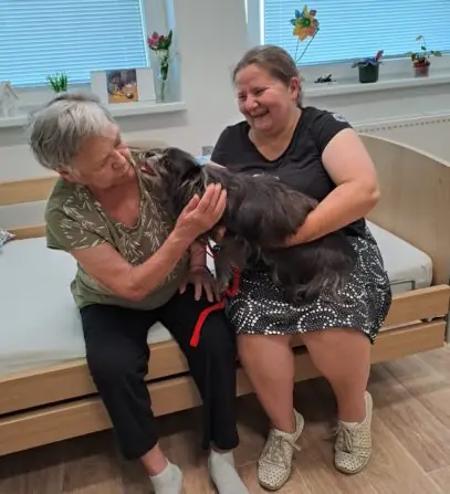 1cf62572-f794-463d-b16c-408d273d1755