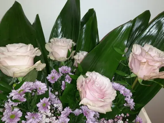 20250828_131719 - kopie