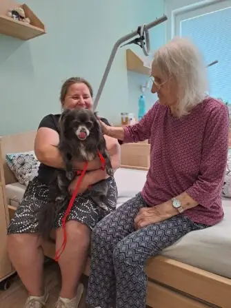 235d29d6-af09-4eae-965c-2ff49dbdb583