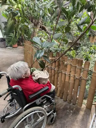 383177a6-2149-4b1d-8909-8c69e0471a64