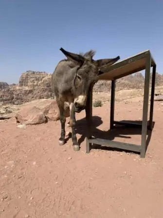 4191cf90-cc7d-4b99-ad3d-a17f34cdddfa