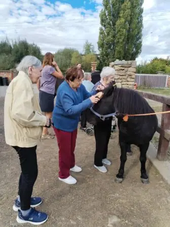 46c10047-d229-40c1-b731-0421c2e2a4b7