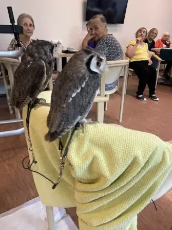 4BAFF595-7F76-4E38-8356-D38FF63652DD