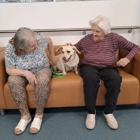 5083ba3a-a6ce-4347-95a3-218c2da86479