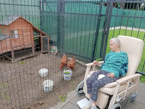 5db41094-e507-42b6-ba9e-ff0b974dae76