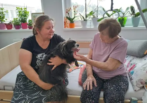 7faca42b-f4fc-41ae-9e01-c03fe41c9f97